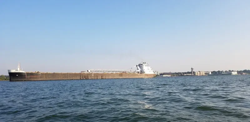 SAM LAUD Bulk Carrier IMO 7390210 photo 5