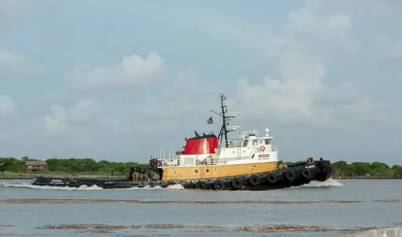 WARRIOR General Cargo IMO 7390909 photo 2
