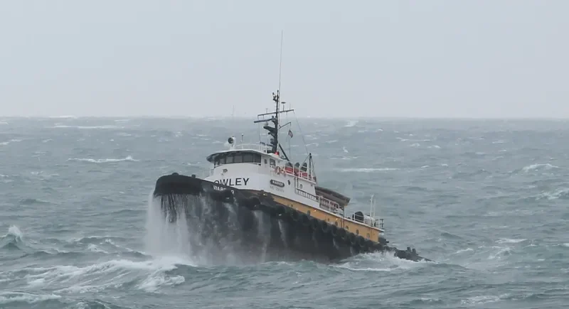 WARRIOR General Cargo IMO 7390909 photo 3