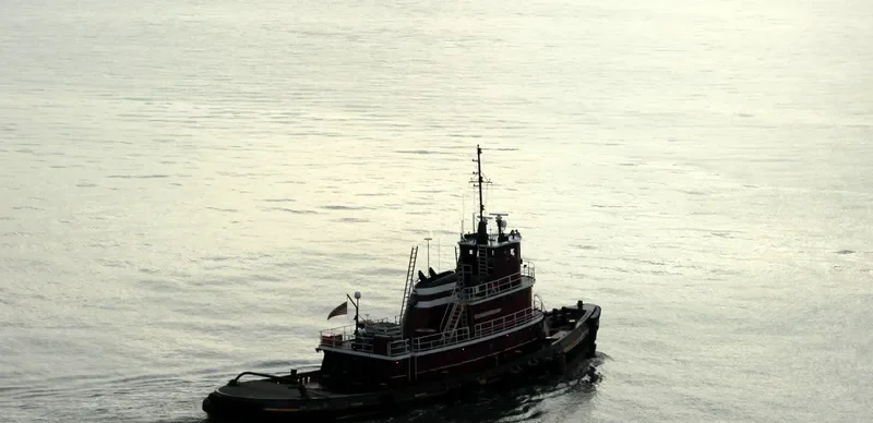 BRUCE A.MCALLISTER Tug Boat IMO 7391018 photo 2
