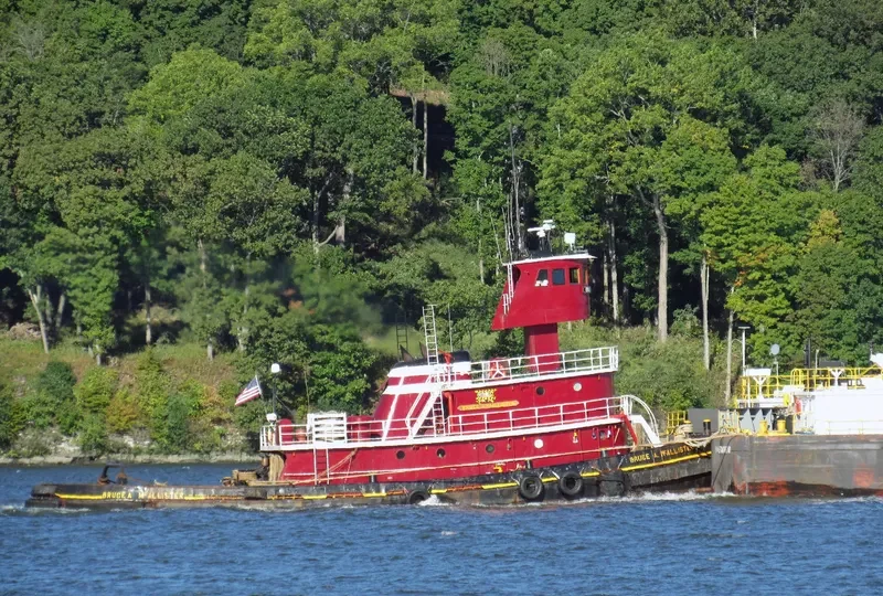 BRUCE A.MCALLISTER Tug Boat IMO 7391018 photo 5