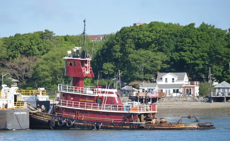 BRUCE A.MCALLISTER Tug Boat IMO 7391018 photo 9