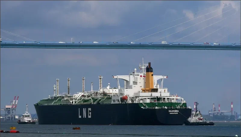 GALEOMMA General Cargo IMO 7391202 photo 3