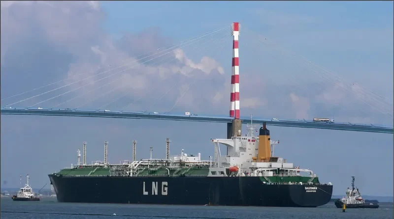GALEOMMA General Cargo IMO 7391202 photo 4