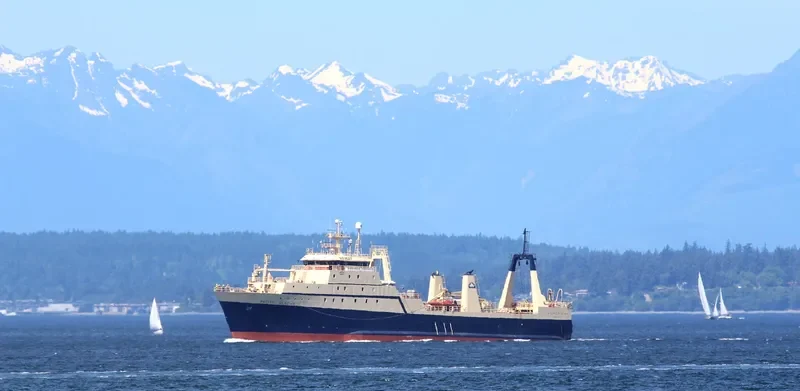 PHOENIX General Cargo IMO 7391276