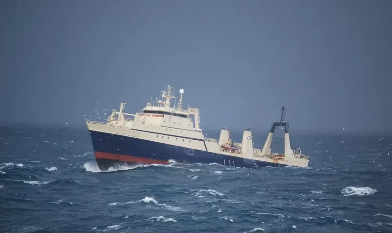 PHOENIX General Cargo IMO 7391276 photo 6
