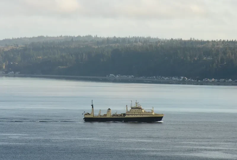 PHOENIX General Cargo IMO 7391276 photo 8
