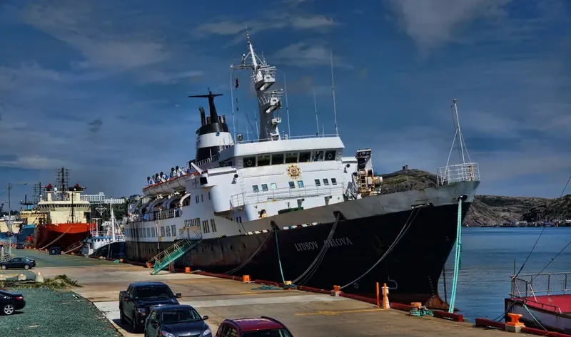 LYUBOV ORLOVA Passenger Ship IMO 7391434 photo 7