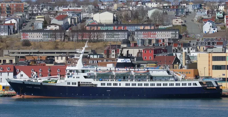 LYUBOV ORLOVA Passenger Ship IMO 7391434 photo 9