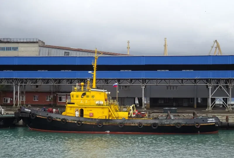 TAYFUN General Cargo IMO 7391678