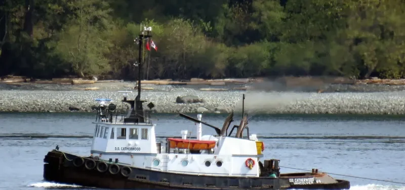 DD CATHERWOOD Tug Boat IMO 7391965 photo 5
