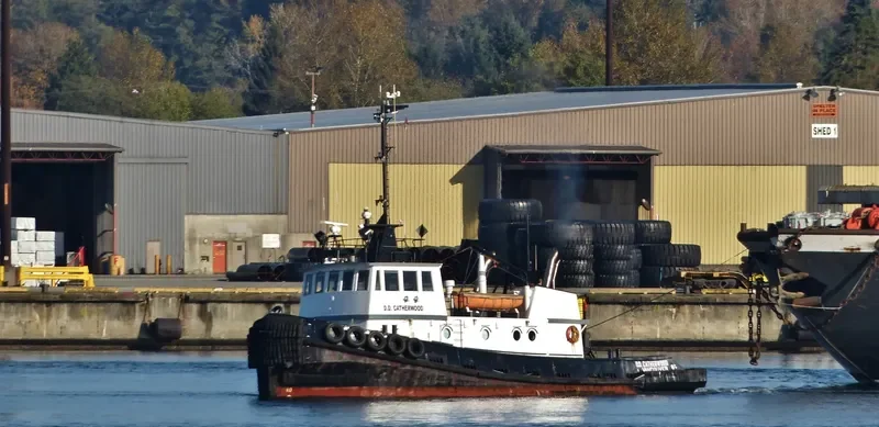 DD CATHERWOOD Tug Boat IMO 7391965 photo 9