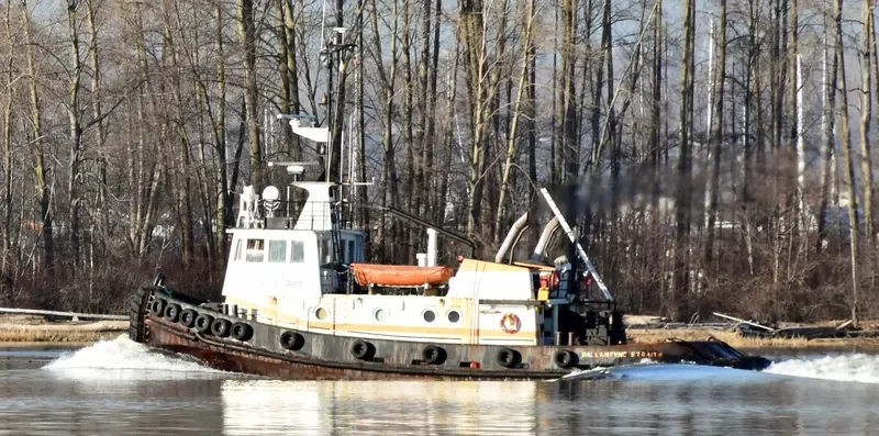 BALLANTYNE STRAITS Tug Boat IMO 7391977 photo 4
