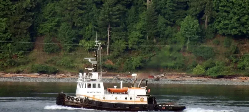 BALLANTYNE STRAITS Tug Boat IMO 7391977 photo 8