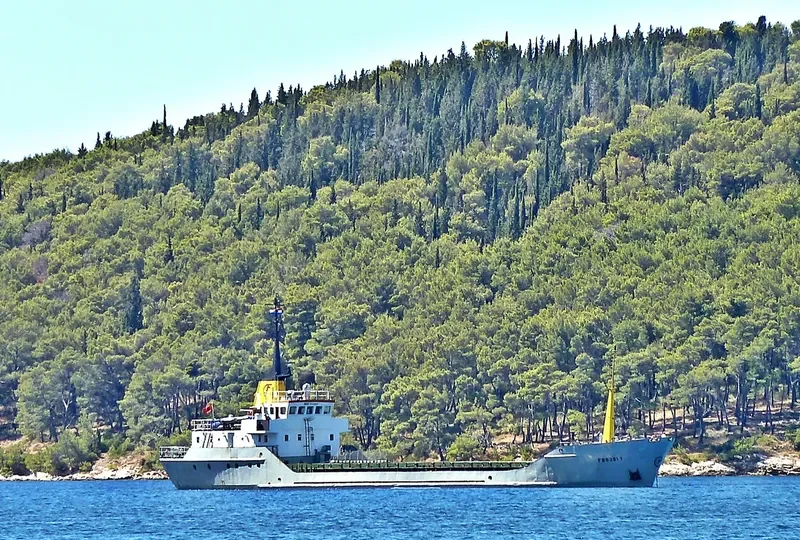 FROJDI I General Cargo IMO 7392244 photo 3
