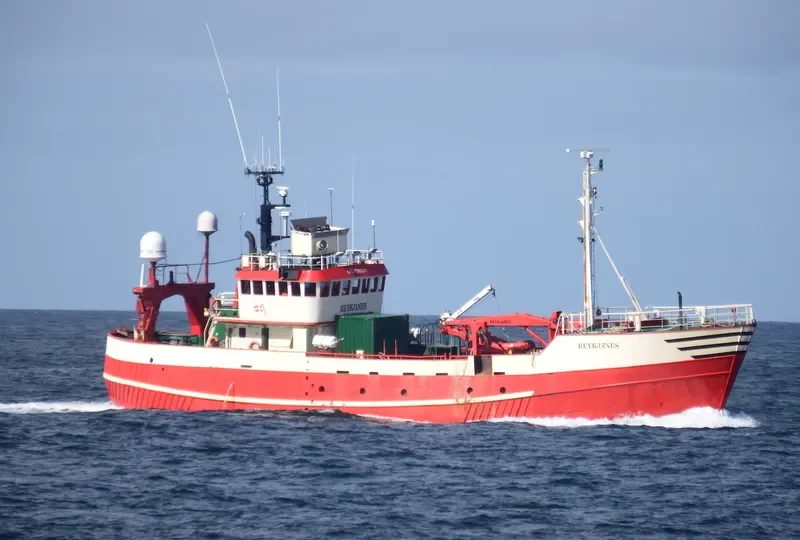 REYKJANES General Cargo IMO 7392311 photo 2