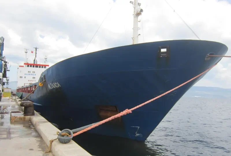 NEZHA General Cargo IMO 7392593 photo 8