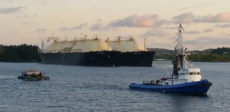 POLAR REX General Cargo IMO 7392816 photo 3