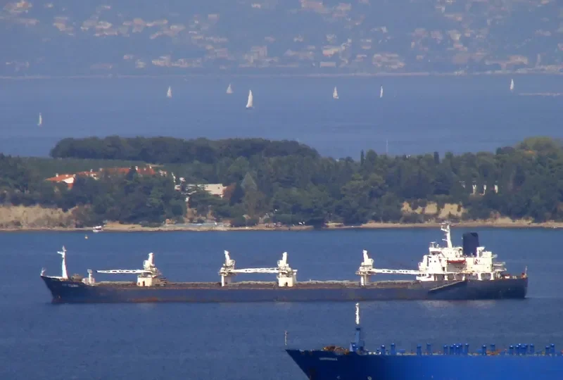 CPT STAVROS Bulk Carrier IMO 7392880