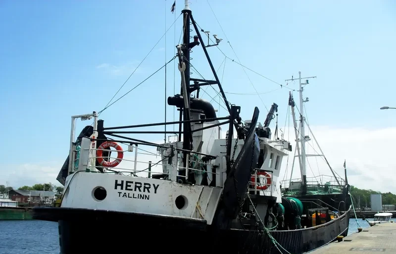 HERRY General Cargo IMO 7393042