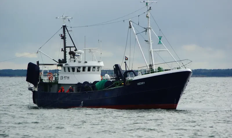 HERRY General Cargo IMO 7393042 photo 6