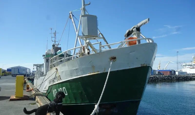 HALLA Fishing Vessel IMO 7393597 photo 2