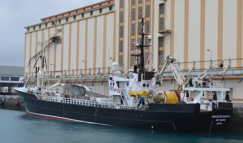 MANSOUR DAKHLA General Cargo IMO 7393705 photo 3