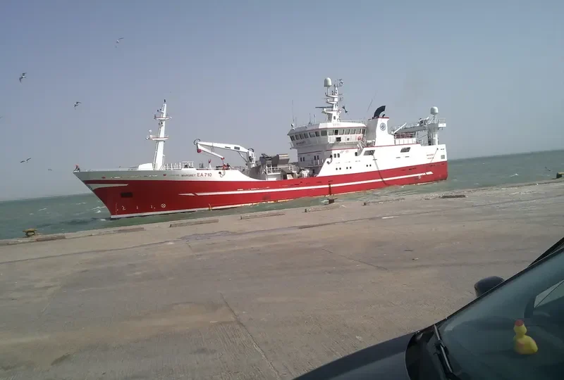 MANSOUR DAKHLA General Cargo IMO 7393705 photo 6