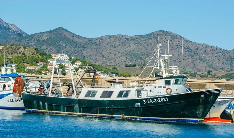 ELI HERMI II Fishing Vessel IMO 7393846 photo 4