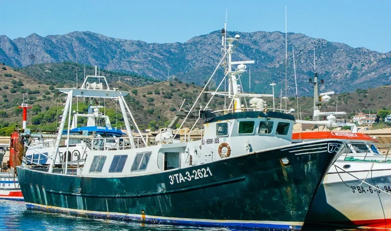 ELI HERMI II Fishing Vessel IMO 7393846 photo 5
