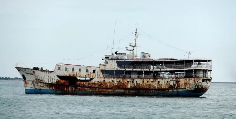 CHERRY ROSE Passenger Ship IMO 7394008