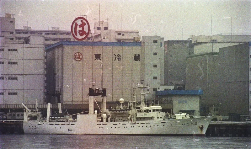 SVS FROBISHER General Cargo IMO 7394101 photo 2