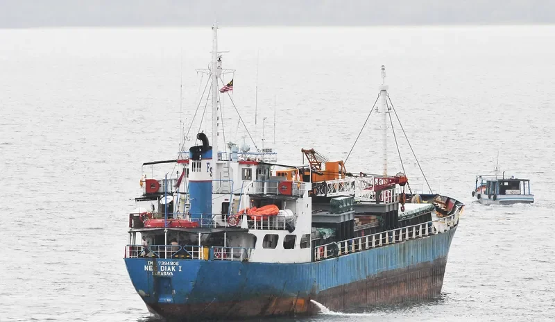 NEE DIAK I General Cargo IMO 7394905