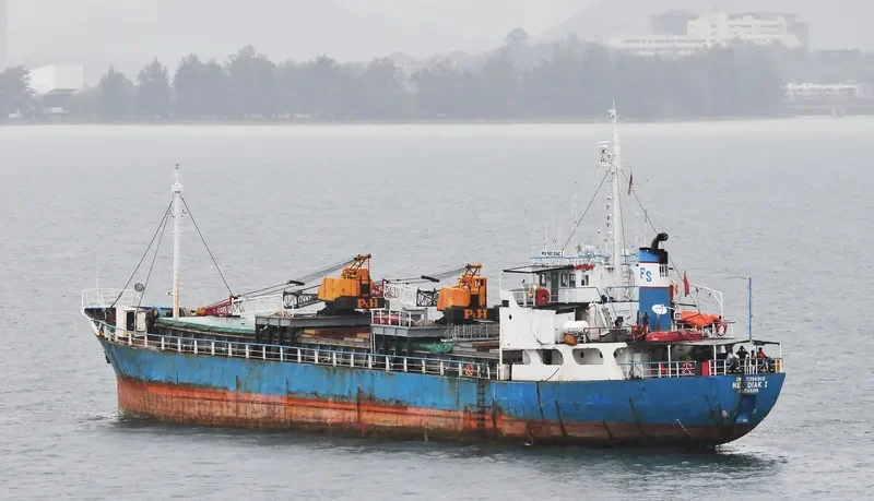NEE DIAK I General Cargo IMO 7394905 photo 2