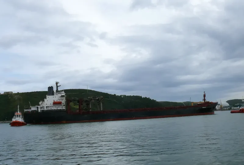 SWAN General Cargo IMO 7395026