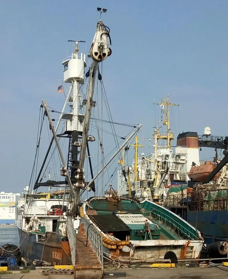 PACIFIC BREEZE General Cargo IMO 7395624 photo 3