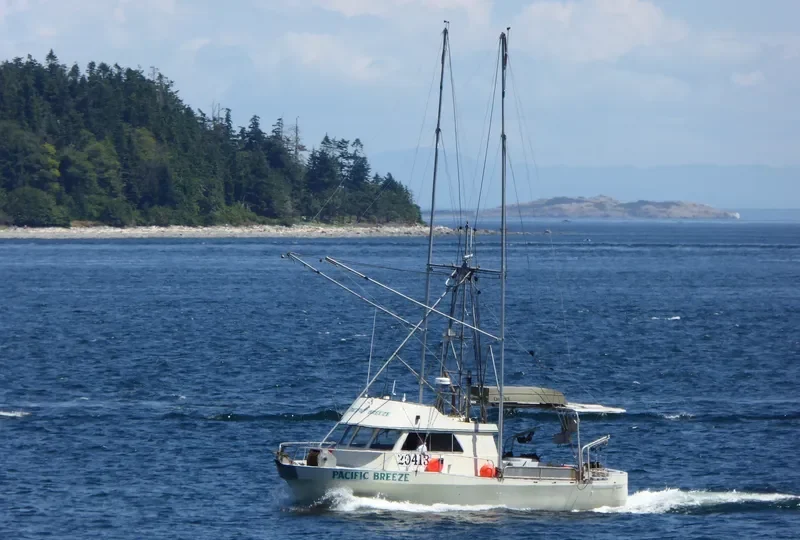 PACIFIC BREEZE General Cargo IMO 7395624 photo 4