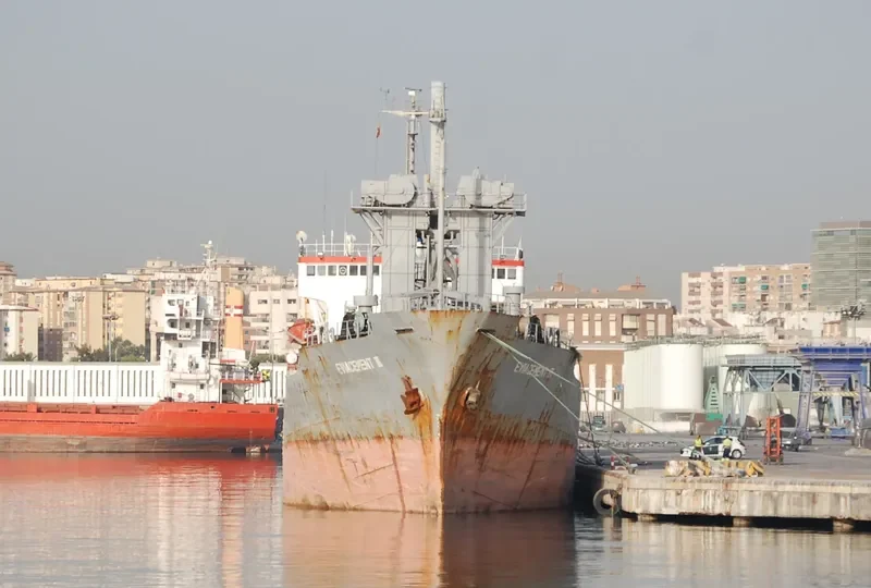 EVIACEMENT III General Cargo IMO 7396147 photo 8