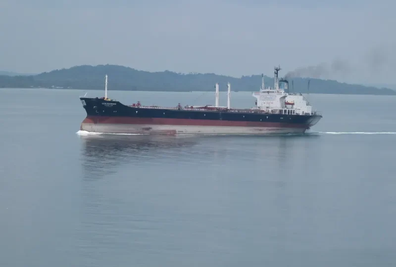 CENDRAWASIH/PERMINA 3005 Tanker IMO 7396238 photo 3