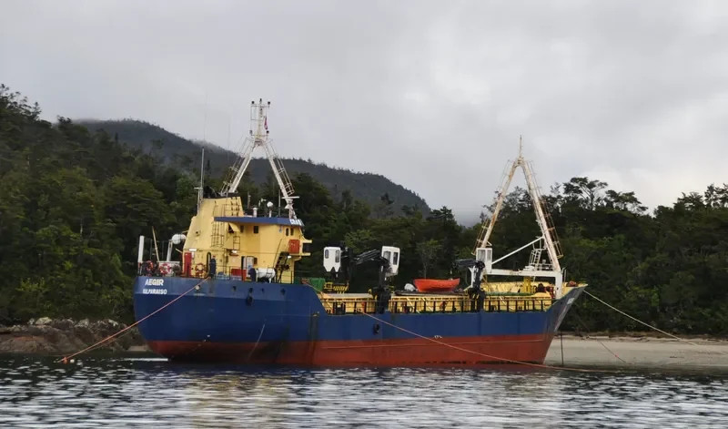 AEGIR General Cargo IMO 7396460