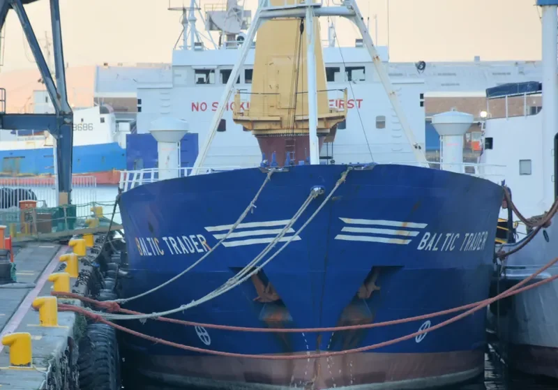 BALTIC TRADER General Cargo IMO 7396472 photo 6