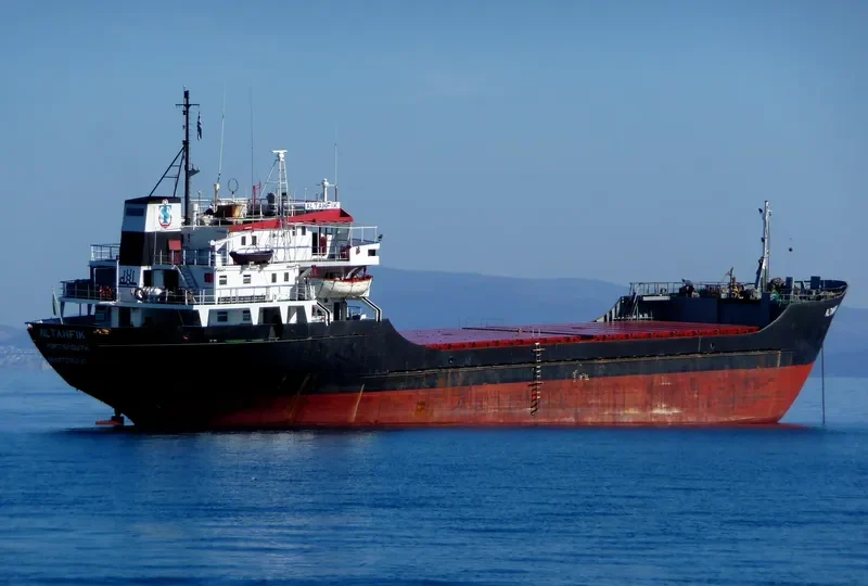 TRANSMED General Cargo IMO 7396616 photo 6