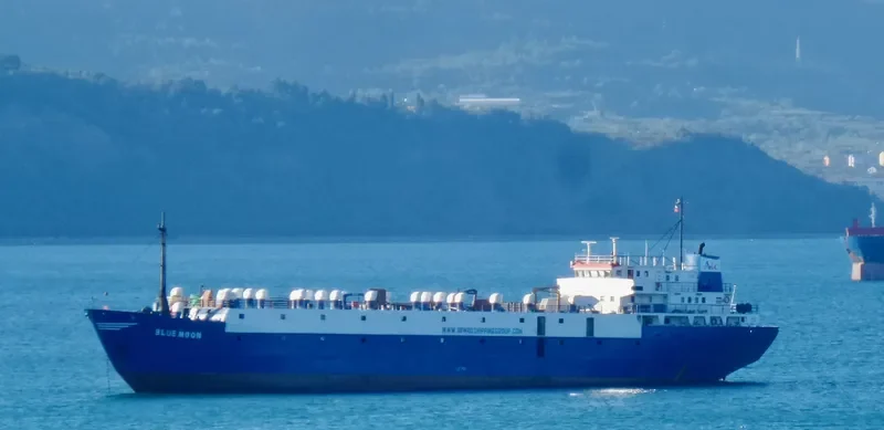 TULEEN General Cargo IMO 7396630 photo 3