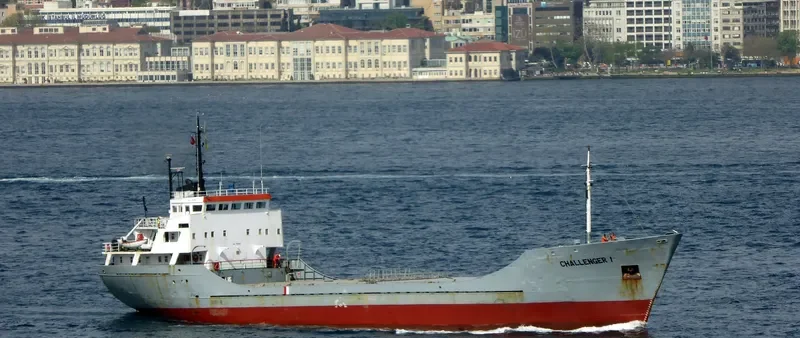 CHALLENGER General Cargo IMO 7396642 photo 8
