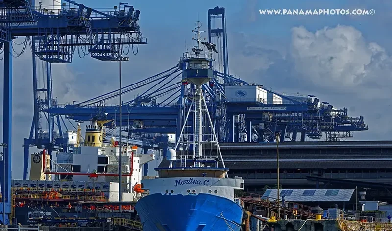 MARTINA C General Cargo IMO 7396836 photo 2