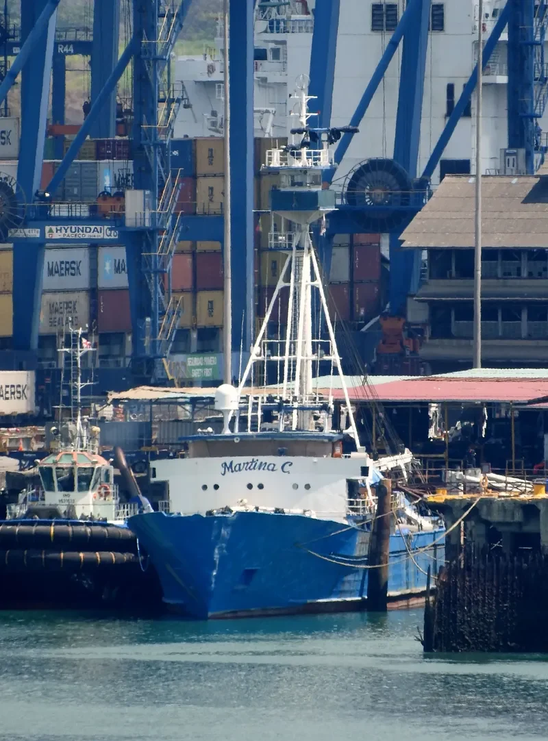 MARTINA C General Cargo IMO 7396836 photo 4