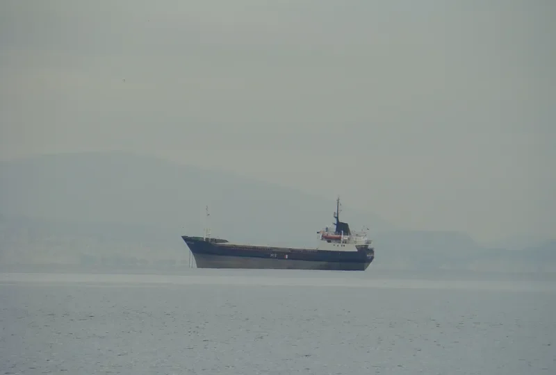 GREEN FLOWER General Cargo IMO 7397971 photo 3
