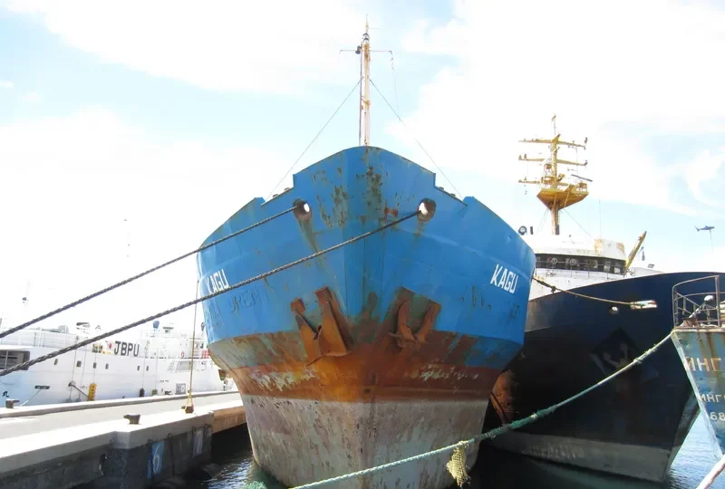 KAGU General Cargo IMO 7398004 photo 3