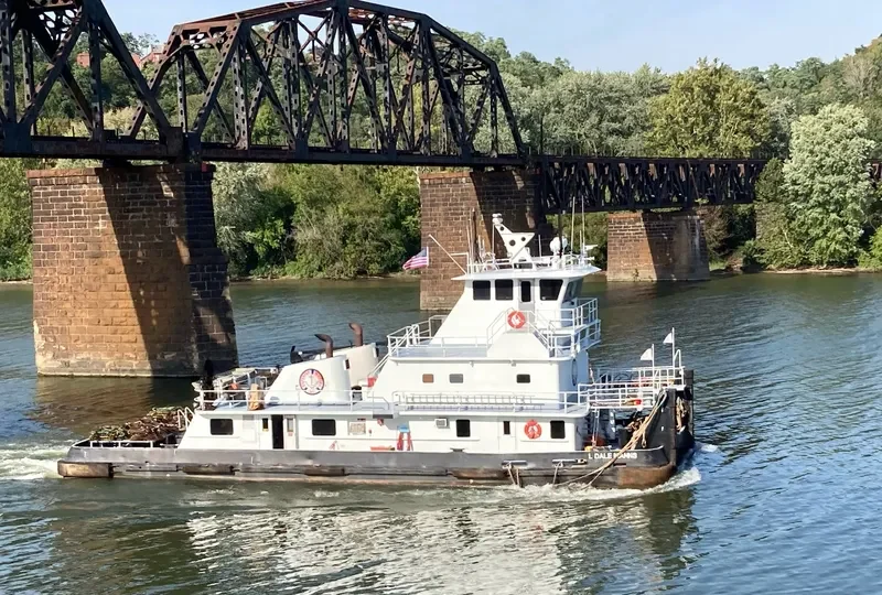 L DALE MANNS General Cargo IMO 7398250 photo 6