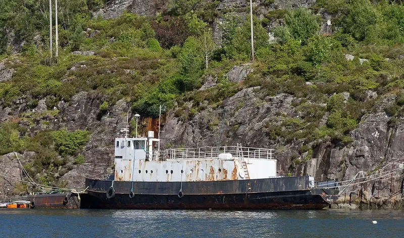 NESVANG Ro-Ro IMO 7398468